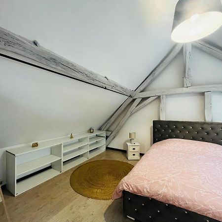 Appartement Ideal Au Coeur D Auxerre Exterior foto